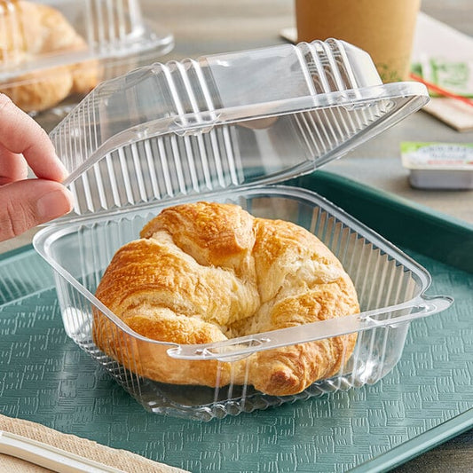CLEAR HINGED LID PLASTIC CONTAINER, 6" x 6"x 3