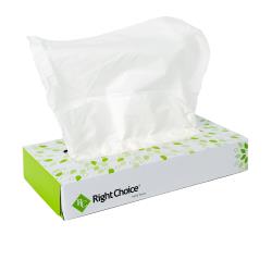 Paper Facial Tissue 2-Ply 100 Sheet, White